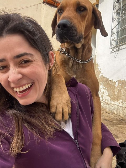 Paciente atendido pela Dra. Aline Faria